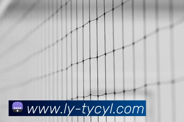 太阳城平台APP 高清赛事图